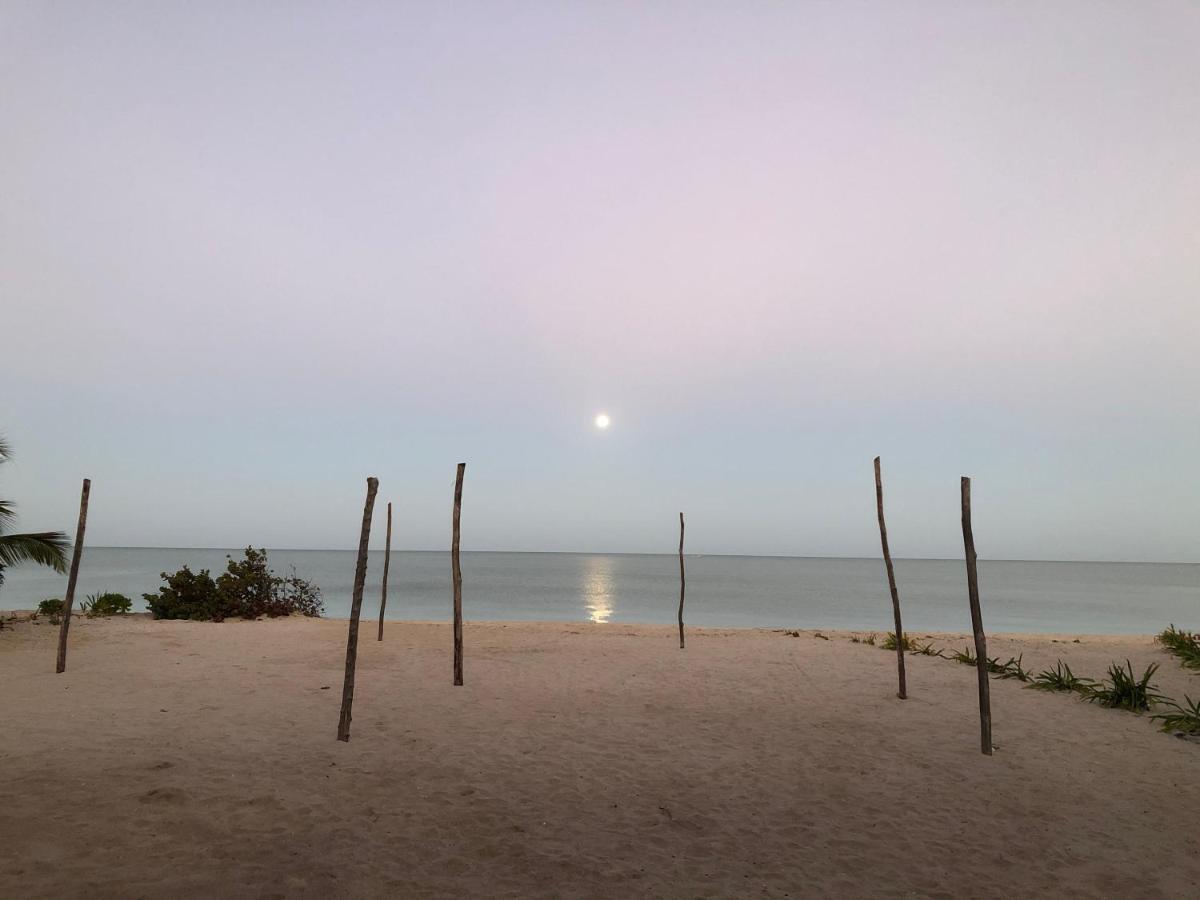 Playa 55 Beach Escape - Adults Only Guesthouse Селестун Экстерьер фото